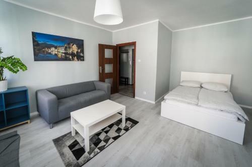 Silver Vision Apartment - Rynek Opole Exterior photo